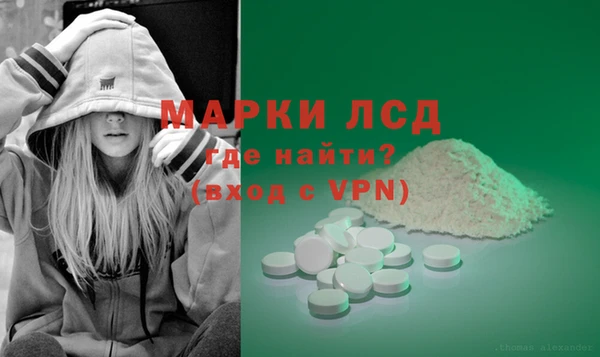 СК Богородицк