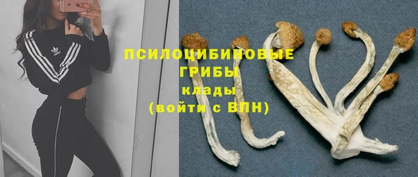 jwh Арсеньев