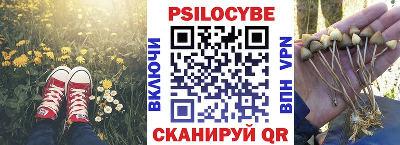 Псилоцибиновые грибы мухоморы  маркетплейс формула  Колпашево 